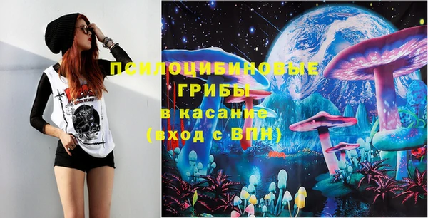PSILOCYBIN Арсеньев